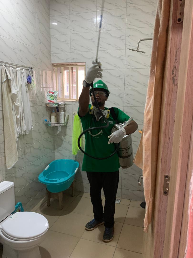 Bed Bug Extermination